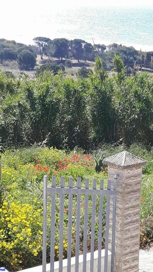 Il Canneto Di Selinunte 마리넬라 외부 사진