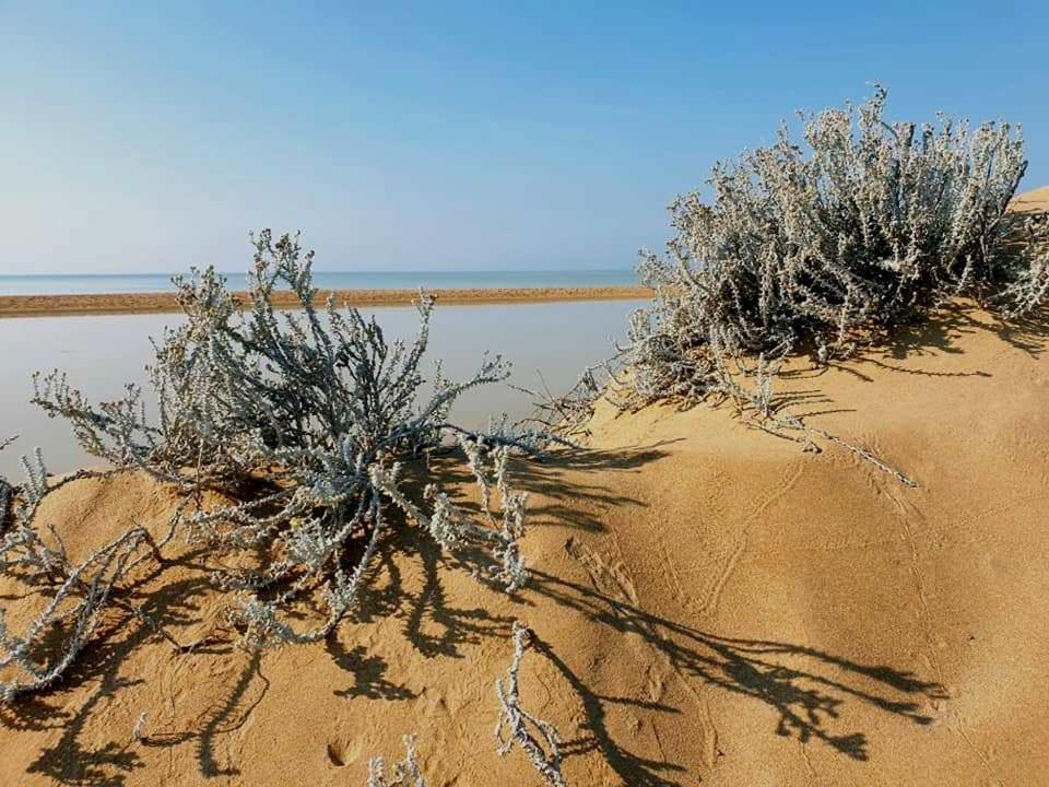 Il Canneto Di Selinunte 마리넬라 외부 사진